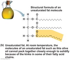 Unsaturated fat structure