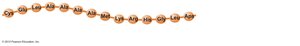 Primary structure of protein