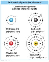 Chemically reactive elements: hydrogen, carbon, oxygen, sodium