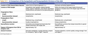 Comparison Table: Sympathetic vs Parasympathetic Divisions