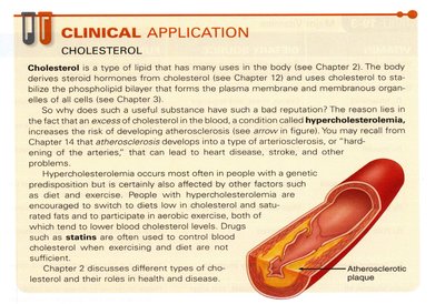 Clinical application: cholesterol and atherosclerotic plaque