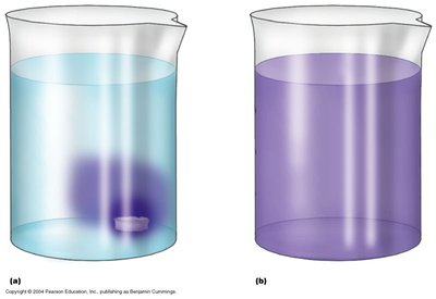 Diffusion of a substance in a beaker