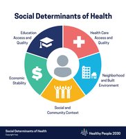 Social Determinants of Health infographic