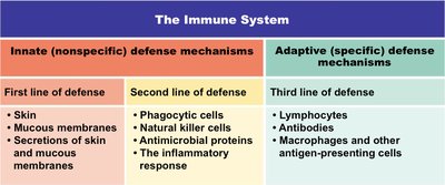 Immune system defense mechanisms table