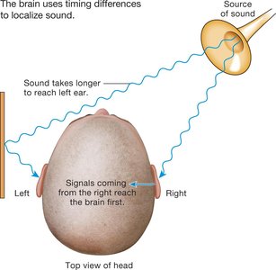 Timing differences in sound localization