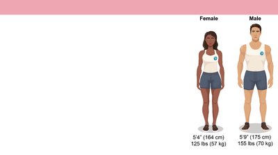 Reference body male and female