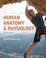 Cover of Human Anatomy & Physiology textbook