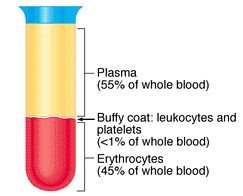 Blood sample showing hematocrit