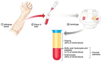 Blood sample separation by centrifugation