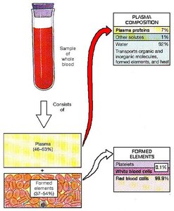 Blood composition: plasma and formed elements