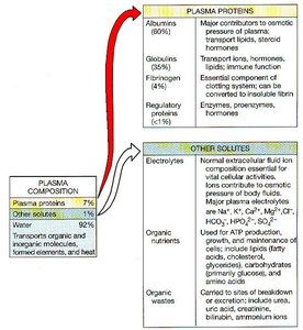 Plasma proteins and other solutes