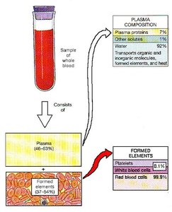 Blood composition: plasma and formed elements