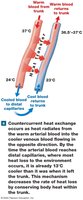 Countercurrent Heat Exchange