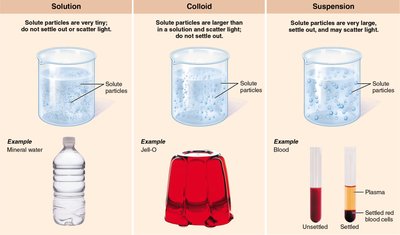 Comparison of solution, colloid, and suspension