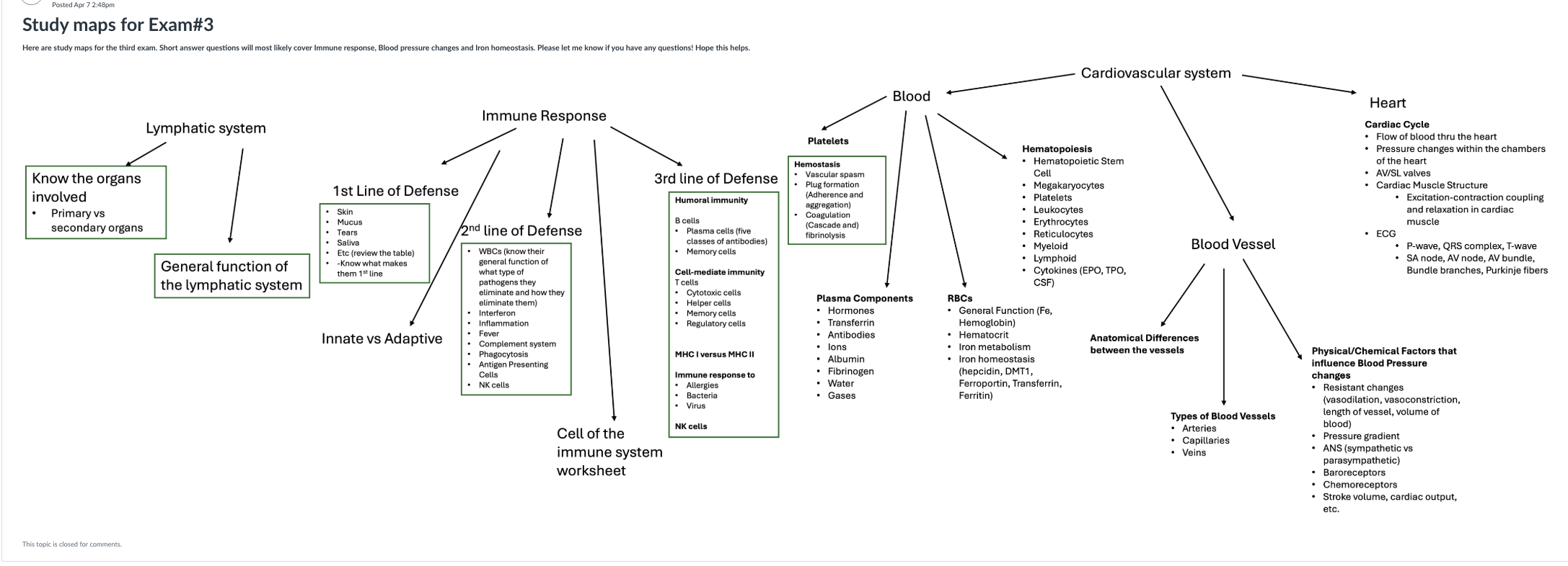 Study map for Exam 3 covering lymphatic, immune, blood, and cardiovascular systems
