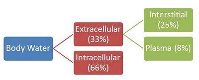 Body water compartments diagram
