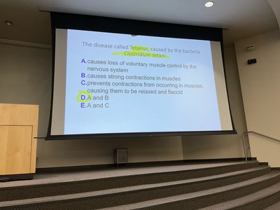 Lecture slide on muscle aging and disorders