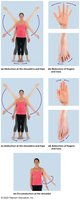 Abduction, adduction, and circumduction movements