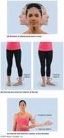 Rotational movements
