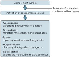 Actions of the complement system