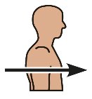 Directional terms: intermediate