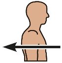 Directional terms: proximal and distal
