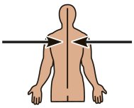 Directional terms: superficial and deep