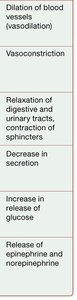 Parasympathetic nervous system pathways