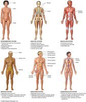 The pH scale