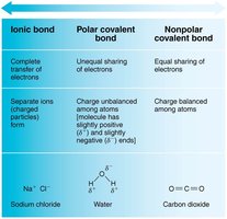 Comparison of ionic, polar covalent, and nonpolar covalent bonds