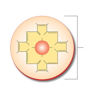 Hemoglobin structure and heme group