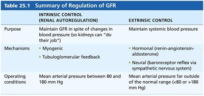 Summary of Regulation of GFR