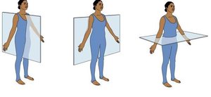 Anatomical planes: sagittal, frontal, transverse