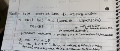 Handwritten notes showing Ideal Gas Law and physiological application