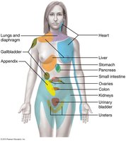 Referred pain map
