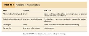 Functions of plasma proteins table