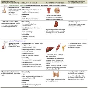 Summary table of pituitary hormones, regulation, targets, and effects