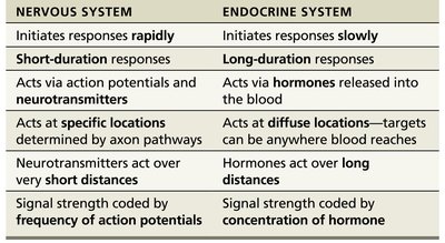 Comparison table of nervous and endocrine systems