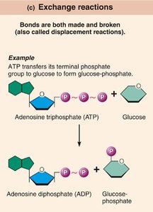 Exchange reactions