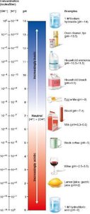 The pH scale and pH values of representative substances