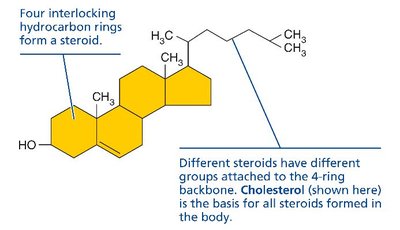 Steroid structure