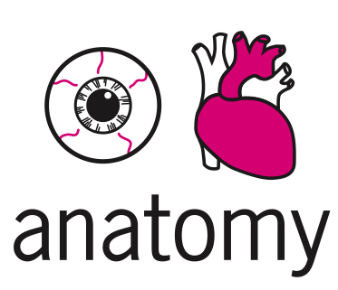 anatomy illustration with eye and heart