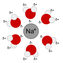 Hydration layers around a sodium ion