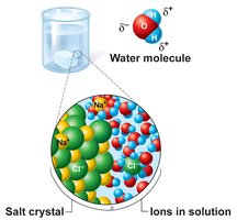 Dissociation of salt in water