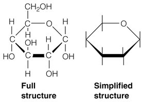 Structure of a monosaccharide