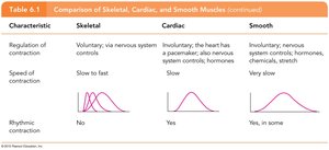 Comparison of muscle contraction characteristics