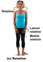 Rotation movements