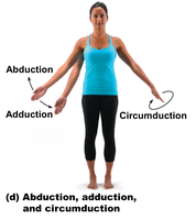 Abduction and adduction