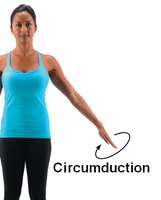 Circumduction movement