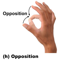 Opposition movement
